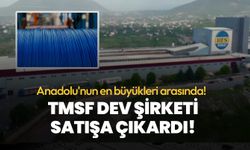 Anadolu'nun en büyüleri arasında bulunuyor! TMSF dev şirketi satışa çıkardı!