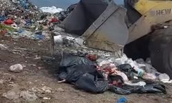 Amasya'da bazı gıda ürünleri imha edildi: İşte detaylar