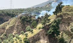 Aydın’da zirai alanda yangın çıktı
