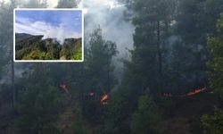 Kahramanmaraş'ta orman yangını