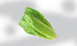 Rüyada marul görmek ne anlama geliyor? Şaşırtıcı yorumlar