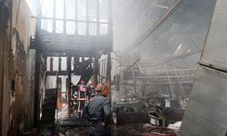 Sakarya'da fındık fabrikasında çıkan yangın kontrol altına alındı