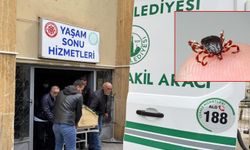 Kabus geri döndü! Sivas'ta kene can aldı
