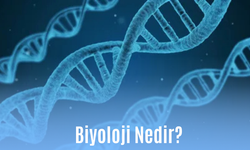 Biyoloji Nedir? Canlı Biliminin Tanımı, Dalları ve Önemi