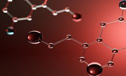 Collagen Nedir, Ne İşe Yarar? Kolajen Eksikliği, Takviyeleri ve En İyi Doğal Kaynaklar