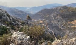 Silifke'deki yangın 3. gününde kontrol altına alındı