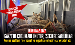 İsrail, Gazze'den eşekleri çalıp Avrupa'ya taşıdı! Avrupa ise “merhamet ve uygarlık sembolü” olarak kabul etti