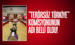 "Terörsüz Türkiye" hedefiyle kurulan komisyonun adı belli oldu