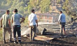 Kastamonu’da aynı noktada ikinci orman yangını korkuttu