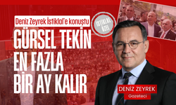 Gazeteci Deniz Zeyrek: Gürsel Tekin orada en fazla bir ay kalır