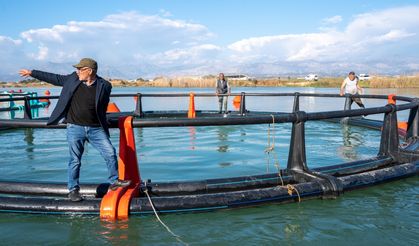 Manavgat Çayı'ndaki balık çiftliklerinde demir kafeslerin yerini ağ kafesler alıyor