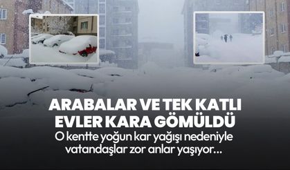 Bitlis beyaza büründü! Arabalar ve tek katlı evler kara gömüldü