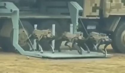 Çin ordusunun silahlı robot köpekleri