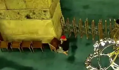 Ayasofya'da yangın çıkaran şüpheli tutuklandı