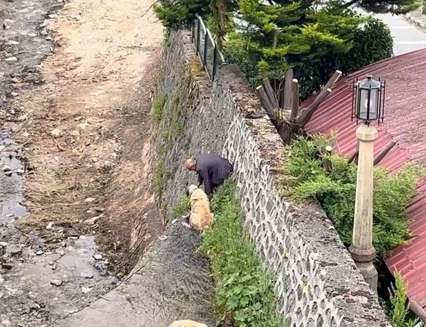 Derede mahsur kalan Kangal köpeklerini böyle kurtardı