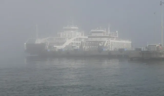 İstanbul Boğazı'nda sis nedeniyle gemi trafiği askıya alındı!