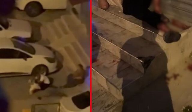 Adana'da pitbull dehşeti! Sahibini ve 2 kişiyi yaraladı