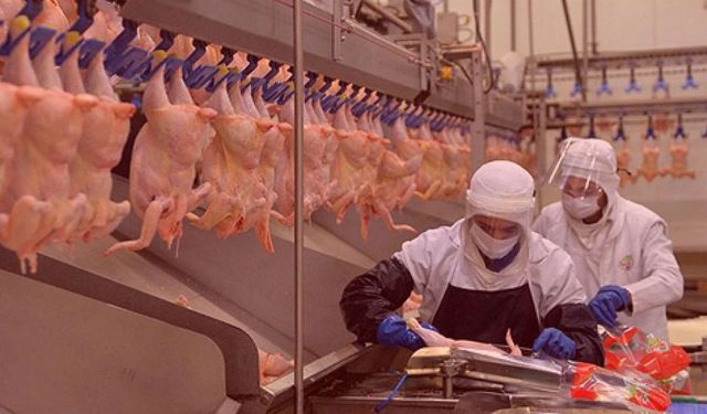 Ticaret Bakanlığı duyurdu! Tavuk eti ihracatına kısıtlama getirildi