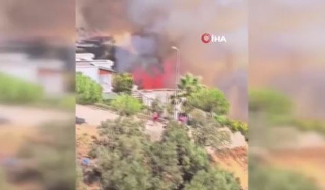 İzmir'de orman yangını! Havadan ve karadan müdahale!