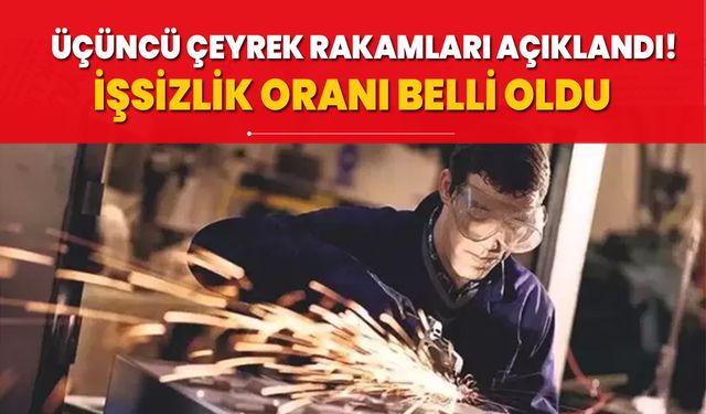 Üçüncü çeyrek rakamları açıklandı! İşsizlik oranı üçüncü çeyrekte geriledi