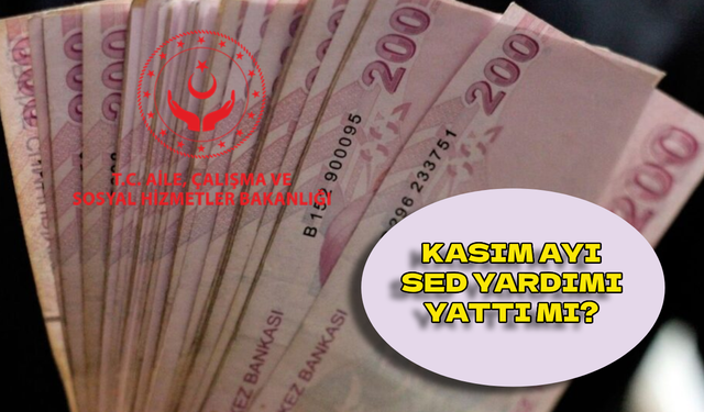 Kasım ayı SED yardımı yattı mı? SED yardımı kasım 2024!