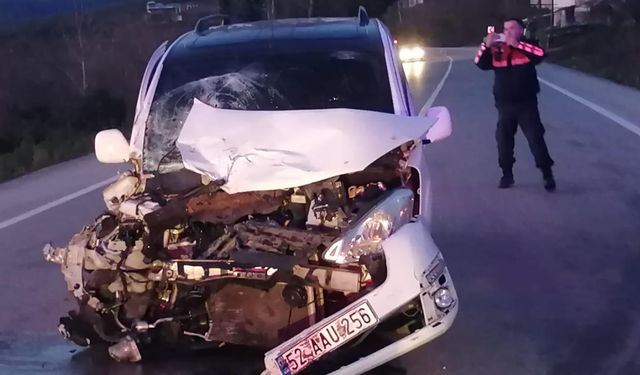 Ordu'da trafik kazası: 2 kişi öldü, 5 kişi yaralandı