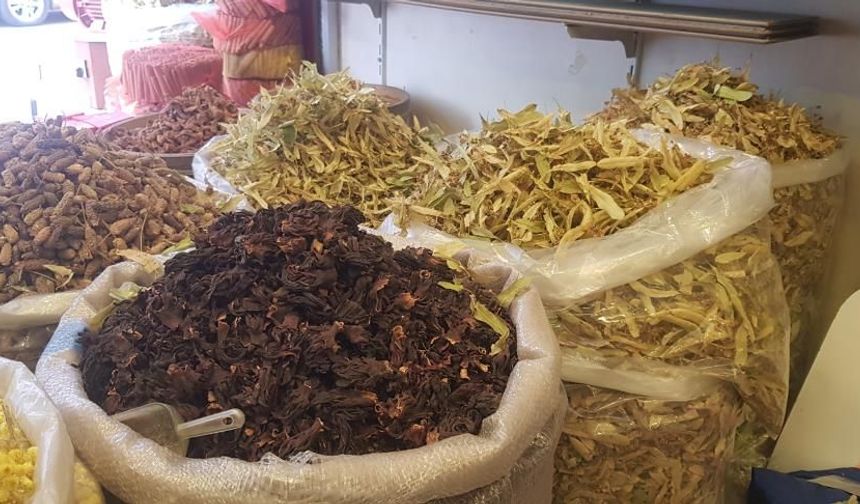 Havaların soğumasıyla gribal enfeksiyon hastalığında yaşanan artış ile birlikte Karabük’teki aktarlarda hareketlilik arttı. Vatandaşların hastalıktan korunmak amacıyla en çok tercih ettiği ürünlerin başında geçen yıl gibi ıhlamur yer alıyor. Kilosu 250 ile 400 lira arasında değişen ıhlamur vatandaşların vazgeçilmezleri arasında bulunuyor.