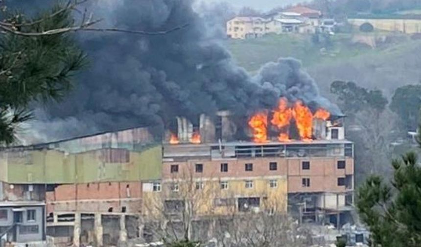 Beykoz'da fabrika yangını