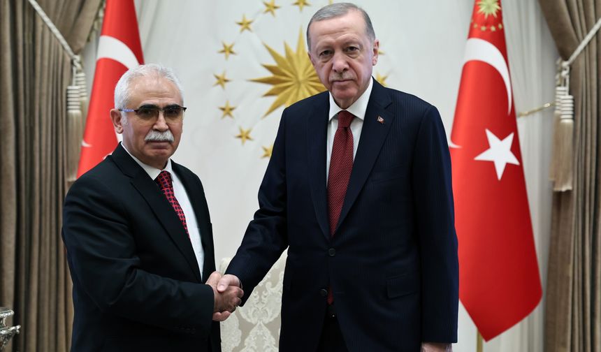 Cumhurbaşkanı Erdoğan, AYM Başkanı Özkaya ile bir araya geldi
