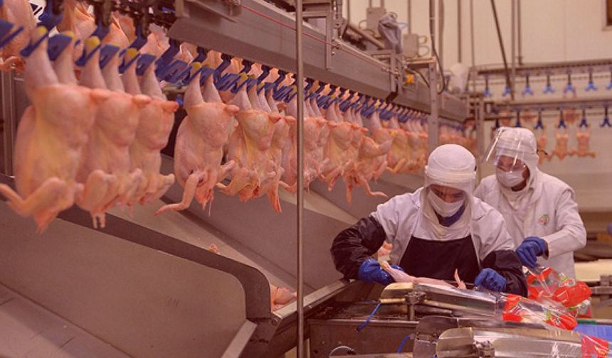 Ticaret Bakanlığı harekete geçti! Tavuk fiyatlarını düşürecek adım
