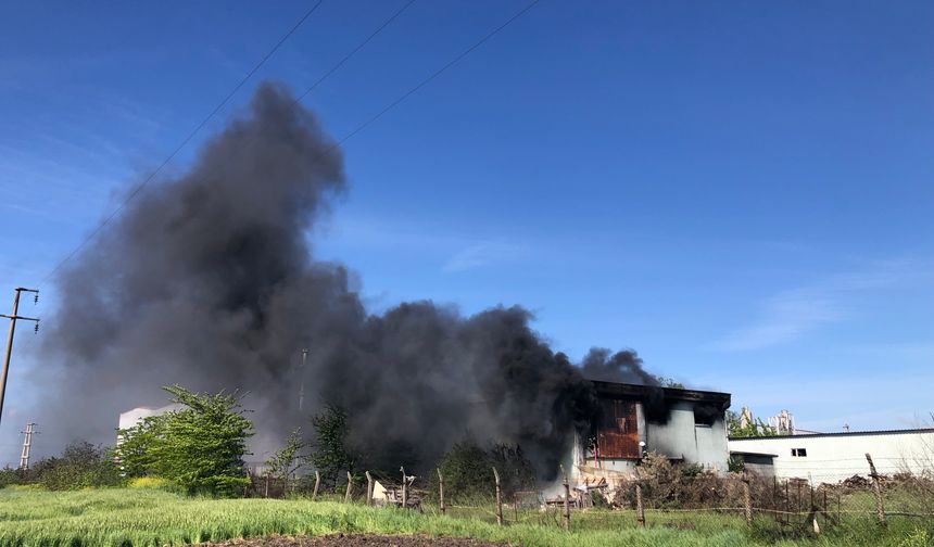 Tekirdağ'da korkutan fabrika yangını