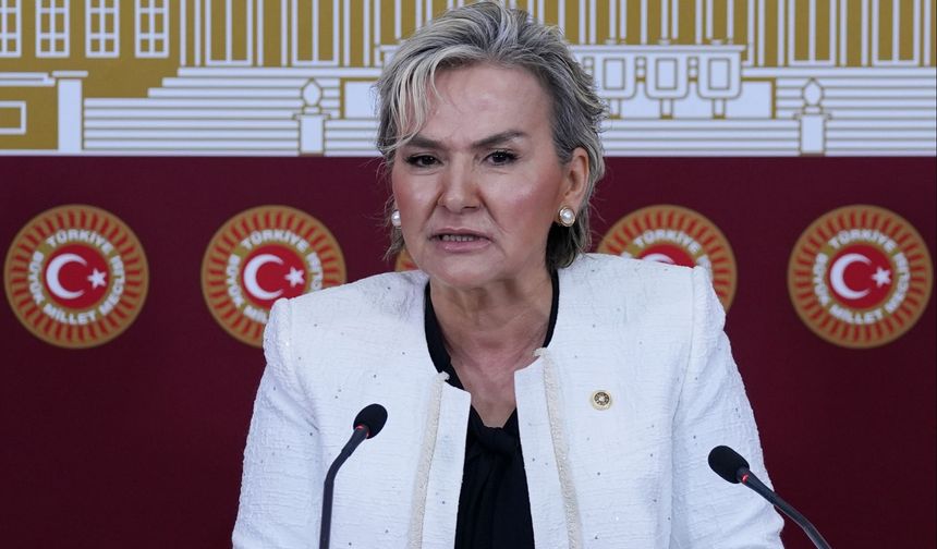 İYİ Parti'de bir istifa daha! İstanbul Milletvekili partisinden istifa etti