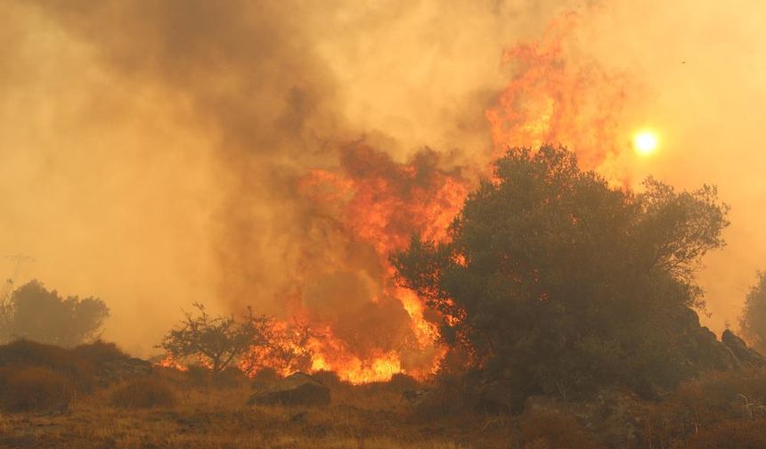 İzmir’in Dikili ilçesinde çıkan yangınına müdahale 4 saattir sürüyor