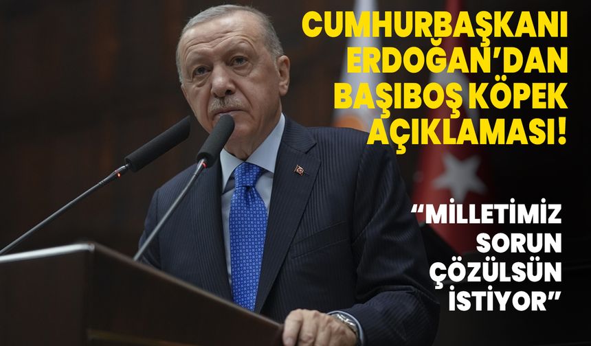 Cumhurbaşkanı Erdoğan: Milletimiz köpek sorunu çözülsün istiyor