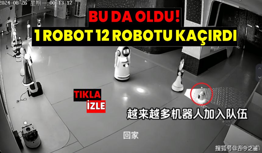 Görüntüler Çin'den! 1 robot 12 robotu kaçırdı