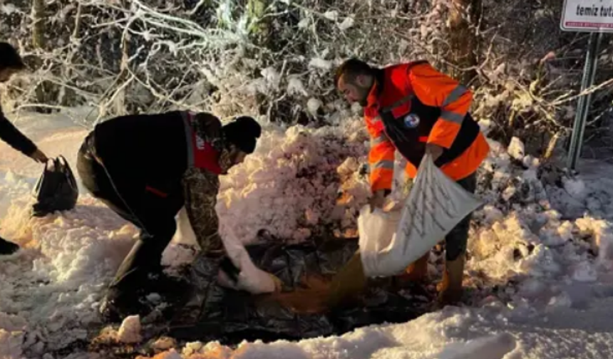 Samsun’da yaban hayvanları için yemlendi