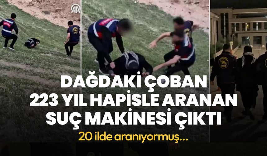 Dağdaki çoban 223 yıl hapisle aranan suç makinesi çıktı