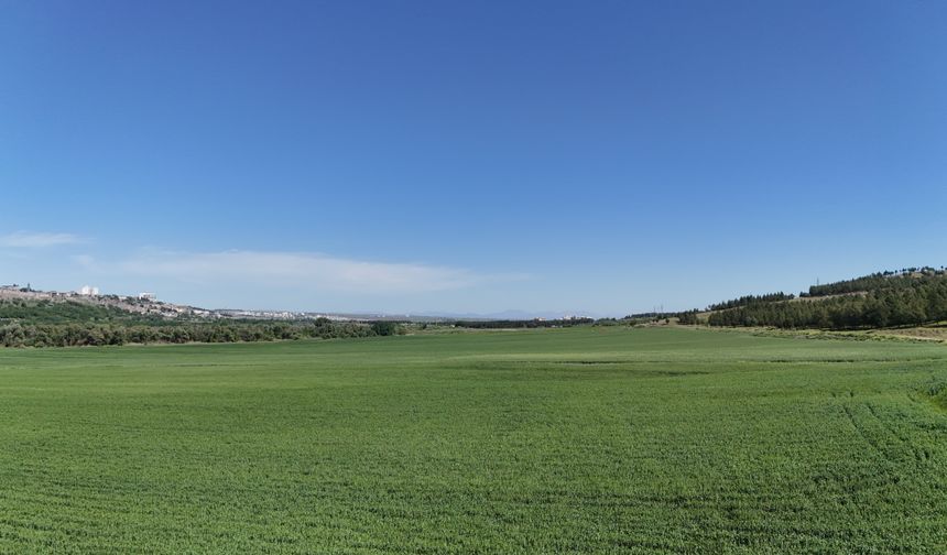 Dicle Üniversitesi'nde devasa arazi usulsüzce el altından kiralandı