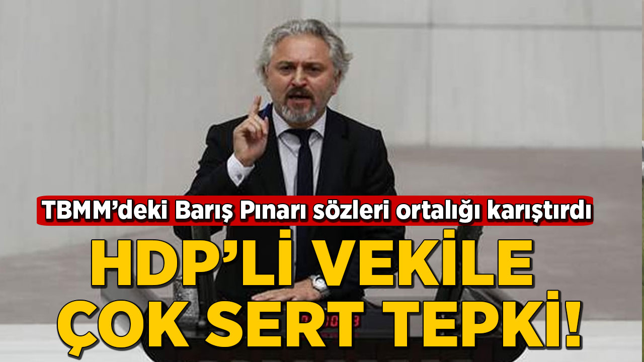 HDP'li vekilin Barış Pınarı Harekatı'na ilişkin sözleri TBMM'yi karıştırdı!