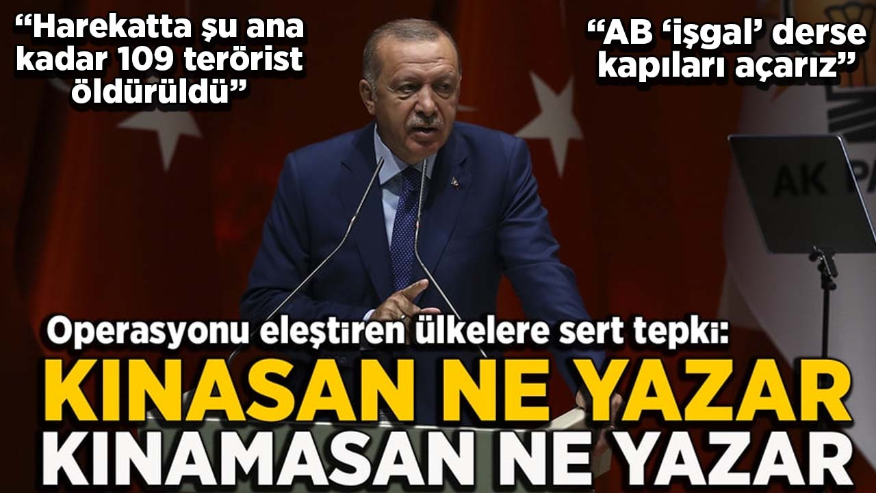 Erdoğan: AB 'işgal' derse kapıları açarız