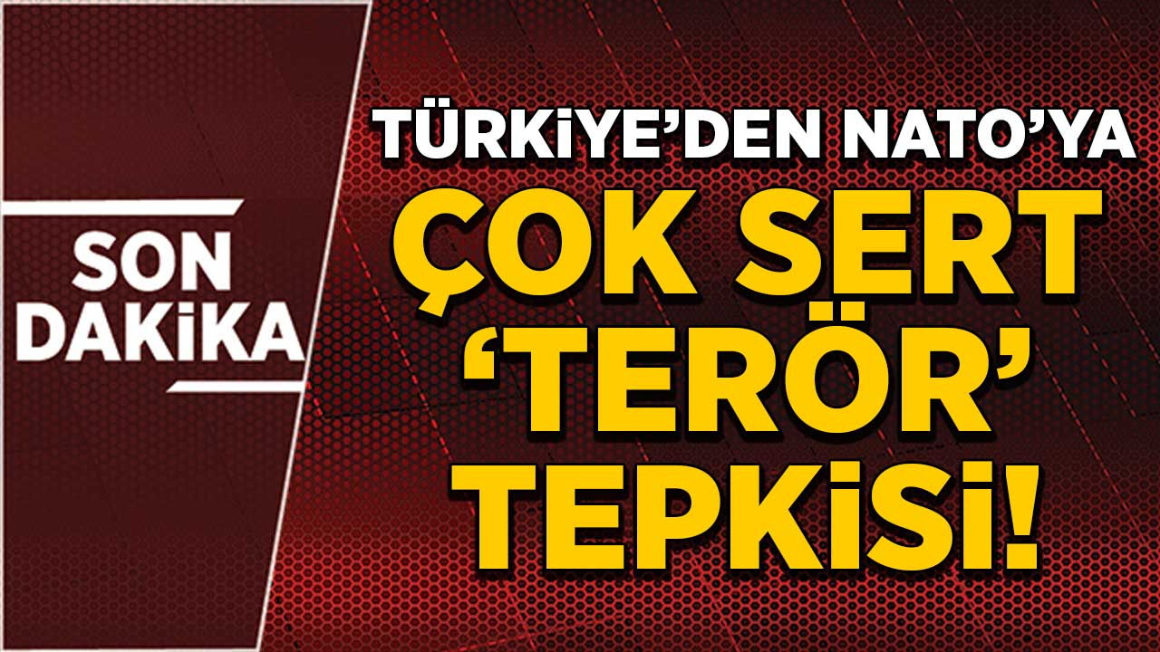 Türkiye'den NATO'ya 'terör' tepkisi