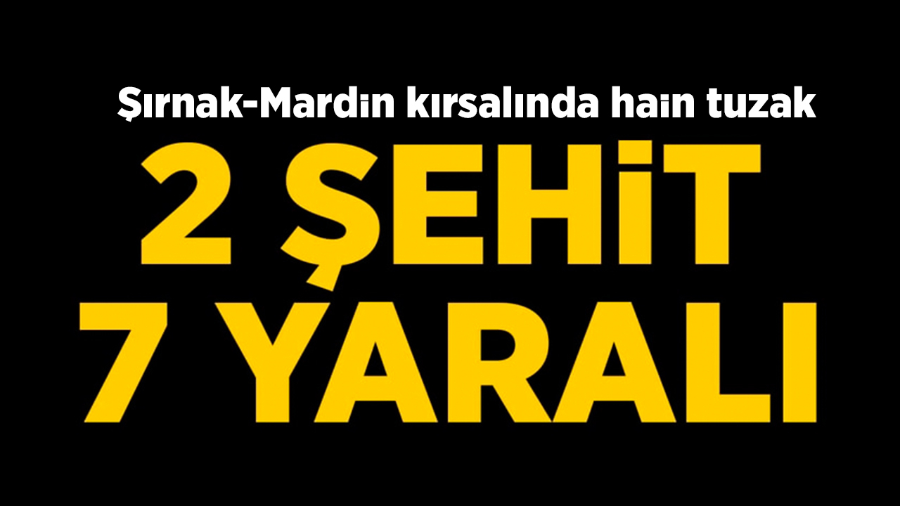 Şırnak-Mardin kırsalında EYP patladı: 2 şehit, 7 yaralı