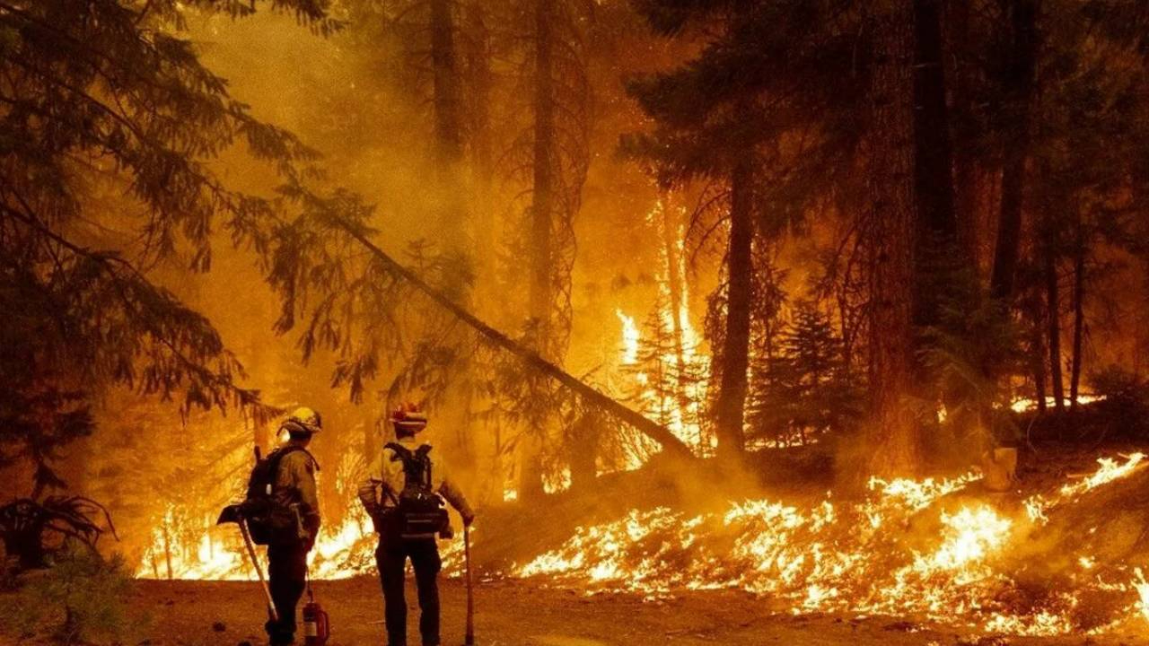 Dünyanın ciğerleri yanıyor: 40'tan fazla ülkede ormanlar alev alev