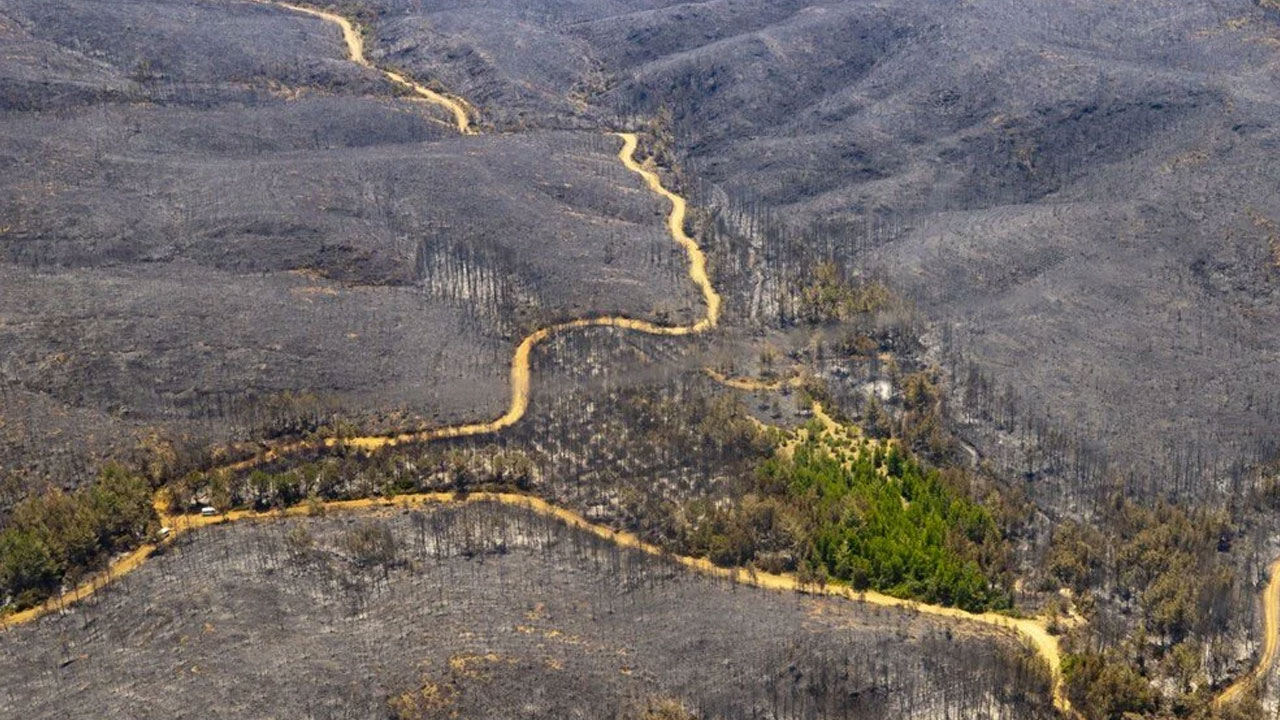 Marmaris'te yangının başladığı bölge ve yanan ormanlık alan havadan görüntülendi