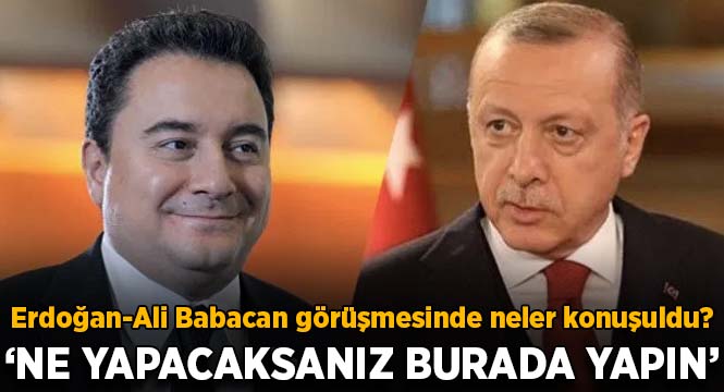 Erdoğan-Ali Babacan görüşmesinde neler konuşuldu?