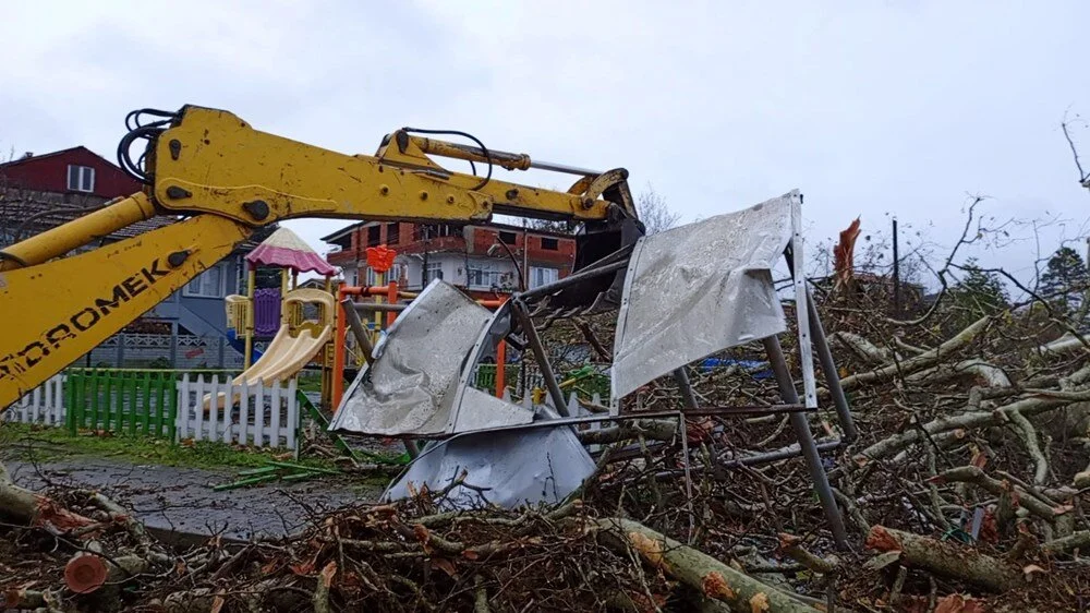 Samsun'da 650 yıllık çınar ağacı şiddetli rüzgar nedeniyle devrildi.