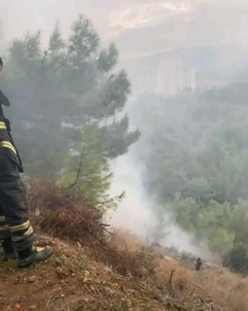  Hatay'ın İskenderun ilçesinde ormanlık alanda yangın çıktı