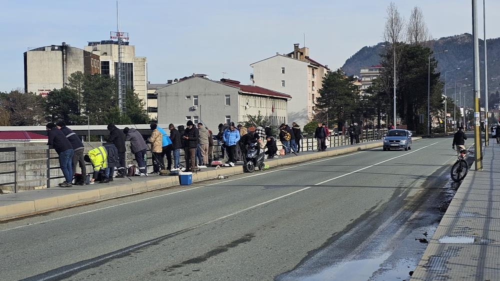 Artvin'de fırtına somon kafesini parçaladı, vatandaşlar dereye akın etti