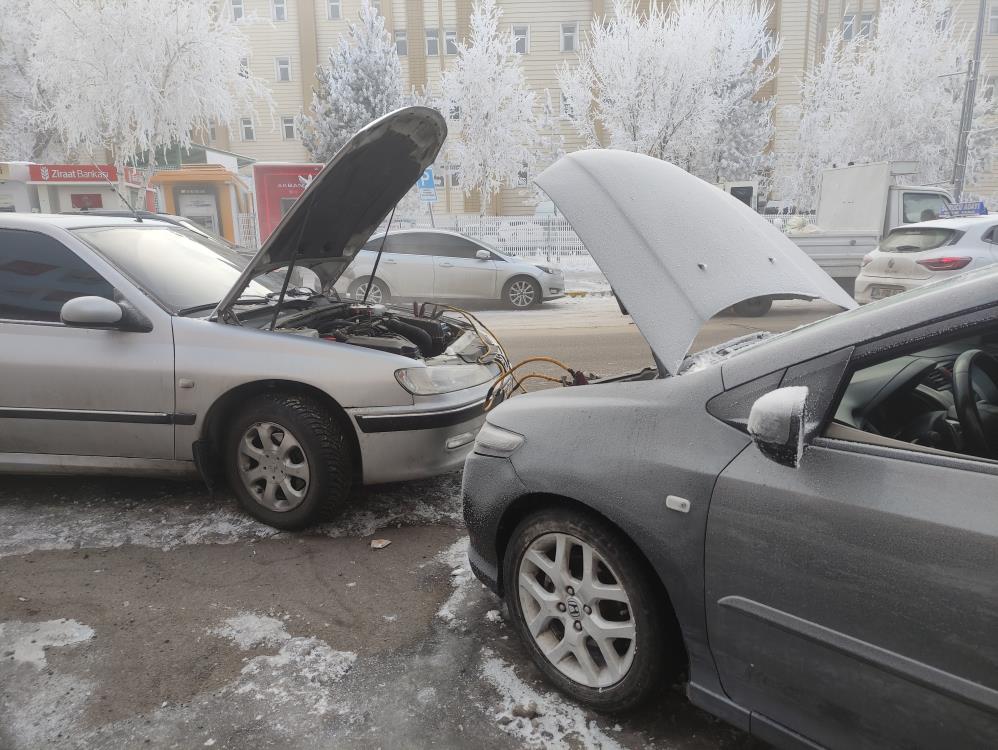 Ardahan'da soğuk hava hayatı felç etti