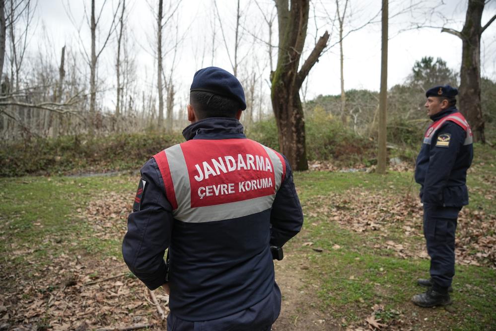 Bursa'nın Karacabey ilçesinde rüzgarda devrilen ağaç, ayı barınağının elektrikli demir çitini yamultunca ayılardan biri firar etti.